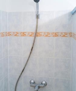 a shower with a shower head in a bathroom at Studio chaleureux à Sainte-Anne - 29m² avec jardin. in Sainte-Anne