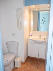 a bathroom with a toilet and a sink at Studio chaleureux à Sainte-Anne - 29m² avec jardin. in Sainte-Anne +17 photos