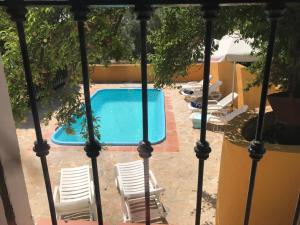 a swimming pool with chairs and a table and a tree at Elegant Villa in El Saucejo with Private Pool in Saucejo