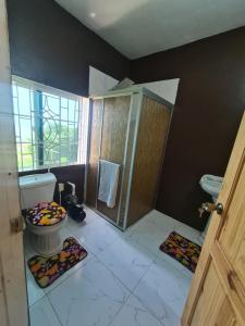 a bathroom with a toilet and two mats on the floor at Round Hill View Heights in Pedro Cross +12 photos