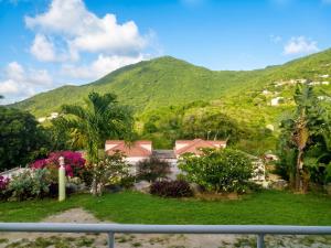 a view of a garden with mountains in the background at Charming Apartment in La Savane, 65 sqm with Terrace in Happy Bay