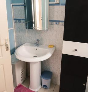 a bathroom with a sink and a mirror at Appartement douillet avec vue sur les montagnes au Vauclin in Le Vauclin