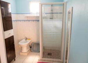 a bathroom with a shower and a toilet and a sink at Appartement douillet avec vue sur les montagnes au Vauclin in Le Vauclin +11 photos
