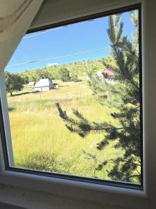 a window with a view of a field and a tree at Cottage in nature Bare, Savnik in Šavnik
