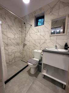a bathroom with a shower and a toilet and a sink at Rifugio Blu in Costinesti