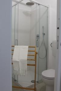 a bathroom with a glass shower with a toilet at Agriturismo Abbonbri in Quarrata