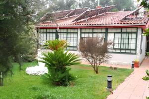 a house with a dog in front of it at Elegant Villa in Tui with Private Pool in Tui