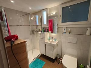 a bathroom with a shower and a toilet and a sink at Grosses Doppelzimmer in Privathaus in Flums