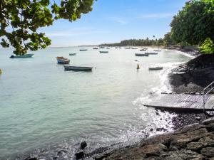 a group of boats in the water on a beach at Charming Apartment in Pamplemousses, 30 m² with Garden View in Pamplemousses Village +6 photos