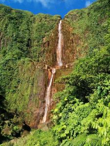 a waterfall on the side of a mountain at Studio accueillant à Baie Mahault, 22 m², piscine partagée. in Baie-Mahault