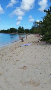 a beach with a lot of people in the water at Appartement confortable avec terrasse à Petit-Canal - 50 m² in Petit-Canal