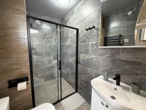 a bathroom with a shower and a toilet and a sink at ADAM Apartments Krāslava in Krāslava