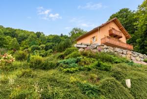 a house on the side of a hill with vegetation at Appartement confortable à Cornimont 30 m² vue montagne in Cornimont