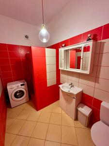 ein rotes Badezimmer mit Waschbecken und Waschmaschine in der Unterkunft fourth line in Riga