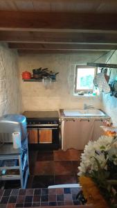 a small kitchen with a sink and a stove at Studio charmant à Bio avec jardin et piscine partagée, 32 m². in Bio +18 photos