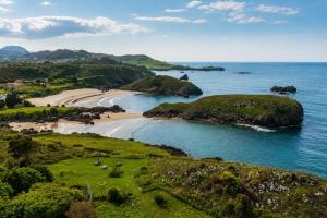 an aerial view of a beach with animals on the grass at Kampaoh Playa Troenzo in Celorio