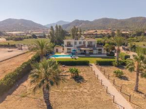 a house with palm trees in front of it at Ocean Breeze Club-Villa Mare in Kato Yialia