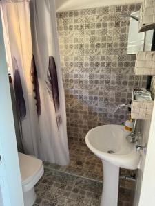 a bathroom with a sink and a toilet and a shower curtain at Loukia's apartment no 2 in Mesochórion