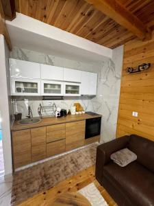 a kitchen with a sink and a couch in a room at Hanovi Apartments in Borje