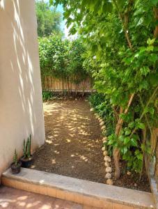 a garden with a tree and a fence at Rayhane-26 in Al Ghar