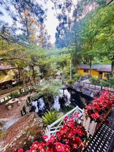 a garden with red flowers and a pond at 山蘇的故鄉 桃園市民宿130號 in Pa-leng