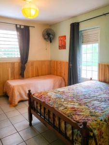 a bedroom with two beds and a window at Appartement confortable à Sainte-Anne, 70m², vue jardin in Sainte-Anne