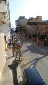 a car parked on a street with a fake tree at Modern Apartment in Calafell + Terrace in Calafell +23 photos
