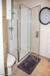 a bathroom with a shower and a toilet at Studio confortable à Abondant, 30 m² avec jardin équipé in Abondant