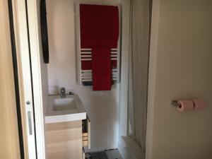 a bathroom with a sink and a red towel at Appartement cosy à Saint-André-des-Eaux de 47 m² avec jardin in Saint-André-des-Eaux