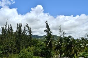a view of a jungle with palm trees and mountains at Modern Apartment with Garden and Lake View in Riambel in Riambel