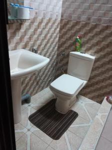 a bathroom with a toilet and a sink at Modern Apartment with Garden and Lake View in Riambel in Riambel