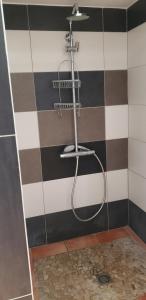 a bathroom with a shower with a hose at Studio - Le Saule in Foissiat