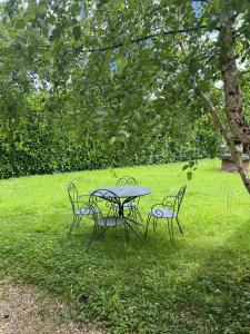 a picnic table and two chairs in the grass at Studio - Le Saule in Foissiat +2 photos