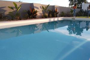 a swimming pool with blue water and plants at Modern apartment in Estói with shared pool. in Estói