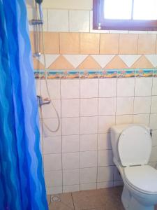 a bathroom with a toilet and a shower at Appartement confortable au Robert 70 m² avec jardin privé in Le Robert +5 photos