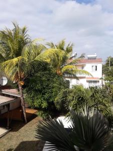 a group of palm trees in front of a building at Modern Apartment in Melville, Pool View, 120 m² in Grande Gaube