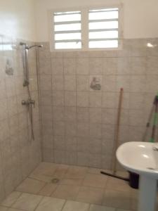 a bathroom with a shower and a sink at Maison accueillante aux Mangles avec jardin clôturé in Les Mangles