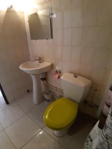 a bathroom with a green toilet and a sink at Appartement charmant à Sainte-Marie avec terrasse de 88 m² in Sainte-Marie +14 photos