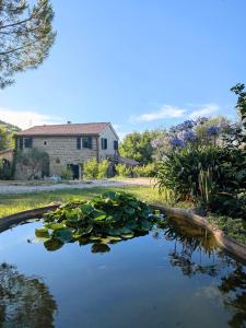 a pond with leaves in front of a house at Giardino Antico in Montecarotto