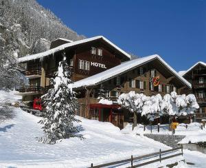 Hotel Schützen Lauterbrunnen зимой