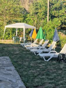 a row of lawn chairs and umbrellas on the grass at Cozy house in Águeda 45 m² with shared pool in Urgueira