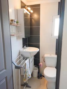 a small bathroom with a toilet and a sink at Appartement accueillant à Penne-d'Agenais - 32 m² - Terrasse in Penne-dʼAgenais