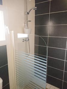 a shower with a glass door in a bathroom at Appartement accueillant à Penne-d'Agenais - 32 m² - Terrasse in Penne-dʼAgenais +5 photos