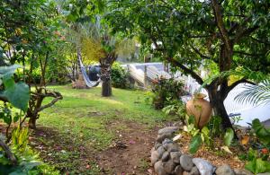 a garden with a swing and trees and a fence at "Studio charmant à Deshaies avec piscine partagée, 20 m²" in Deshaies