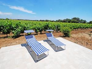 two blue chairs sitting in front of a vineyard at Charming House in Is Potettus with Private Garden in SantʼAnna Arresi