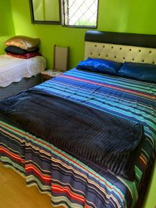 a bedroom with a large bed in a green room at Recanto Pedrita in Pedreira +6 photos