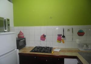 a kitchen with a stove and a green wall at Appartement moderne à Schoelcher avec terrasse et vue mer in Schœlcher