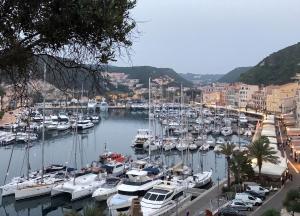 a bunch of boats are docked in a marina at Appartement cosy à Bonifacio avec vue sur la mer - 45 m² in Bonifacio