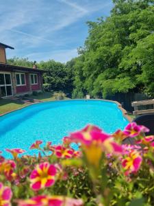a swimming pool with purple flowers in front of it at Cascina Rocchino bed and breakfast in Predosa
