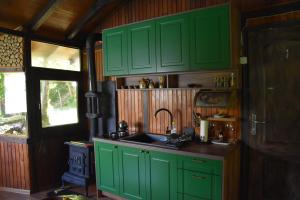 a kitchen with green cabinets and a sink at ECO cabin Plivsko jezero Jajce in Jajce +35 photos